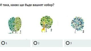 Бърз тест: Изберете си дърво, то ще разкрие огромна тайна