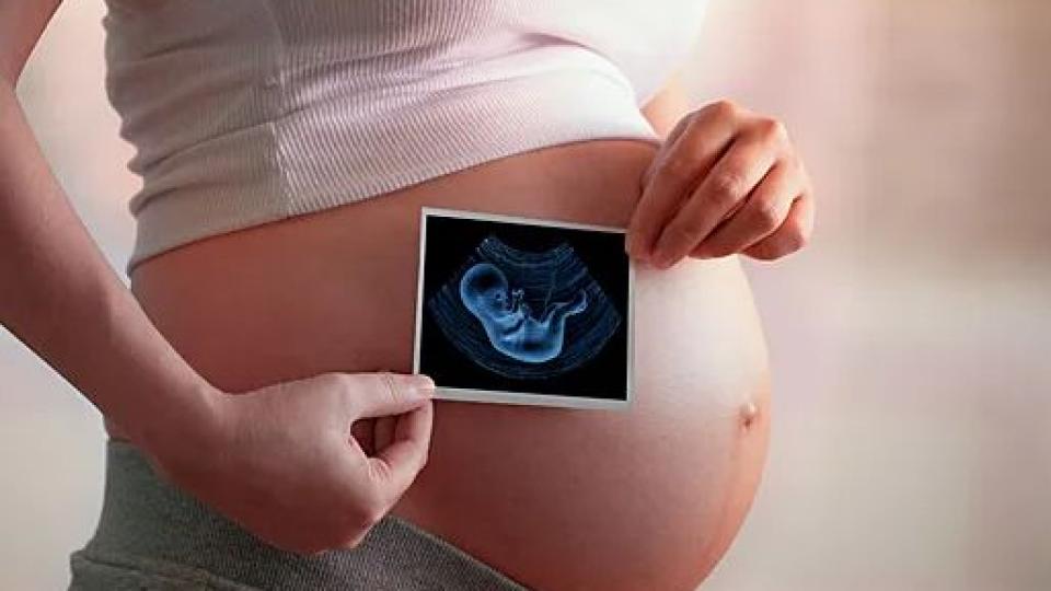 Протеиновата диета по време на бременност влияе върху външния вид на нероденото дете