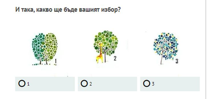 Бърз тест: Изберете си дърво, то ще разкрие огромна тайна