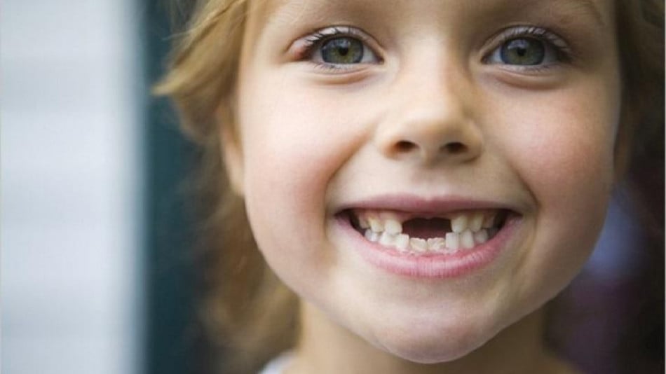 Не изхвърляйте падналите млечни зъбки на детето си! Те могат да спасят живота му!