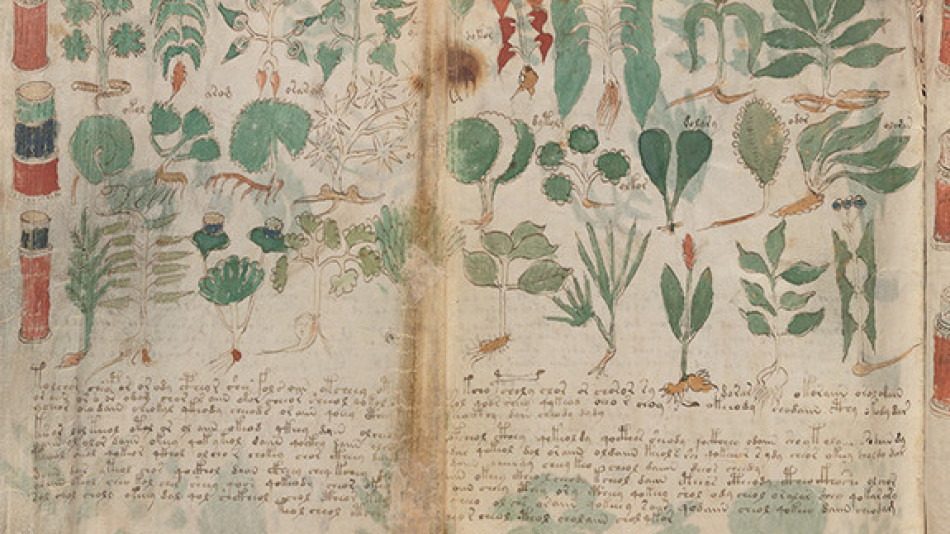 Тайната падна: Мистериозният ръкопис на Войнич е писан за жени от жени