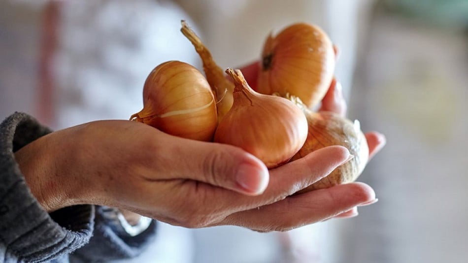 Учени разкриха колко лук трябва да ядем, за да се спасим от рака