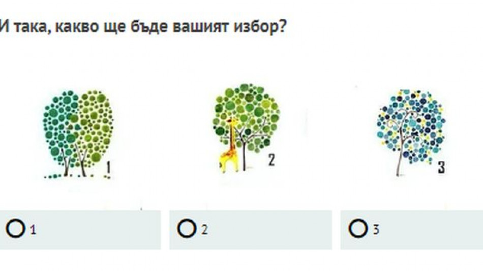 Бърз тест: Изберете си дърво, то ще разкрие огромна тайна