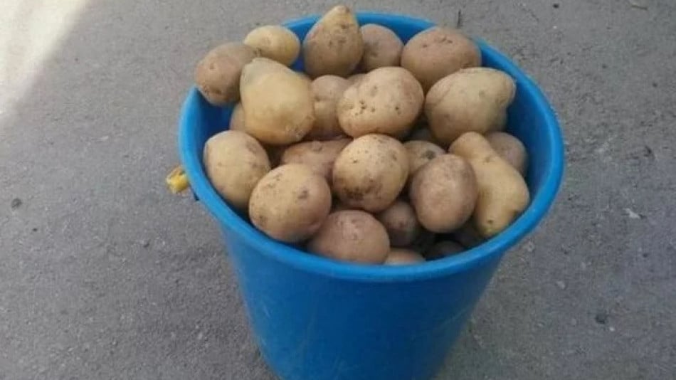 Уникален и бърз трик за обелване на голямо количество картофи без нож