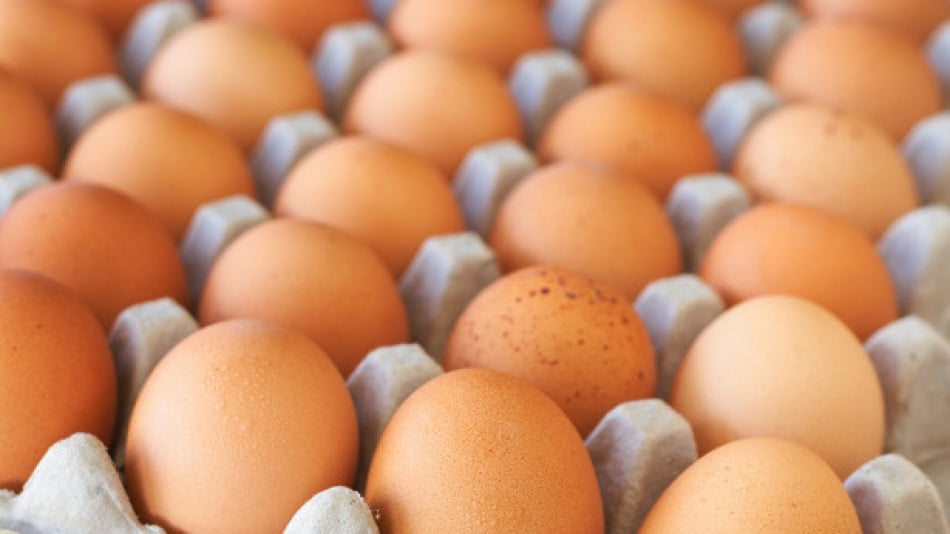Ето по колко точно яйца може да ядем на седмица