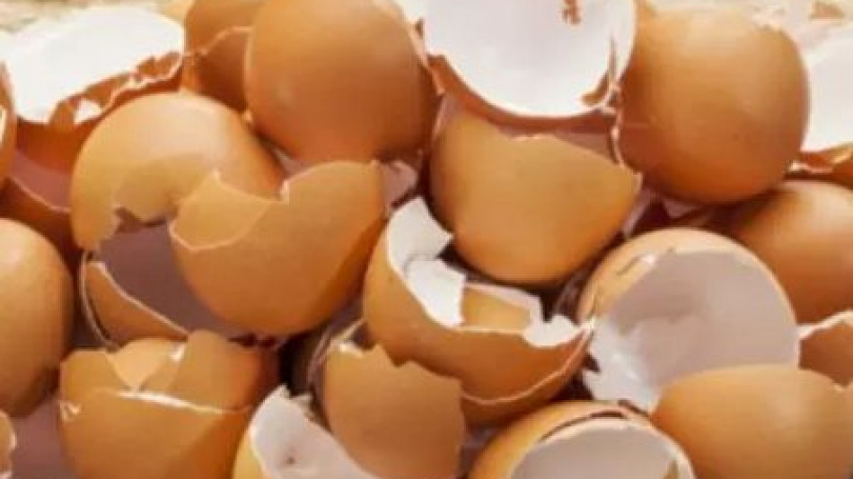 За нищо на света не изхвърляйте яйчените черупки – вършат чудеса 