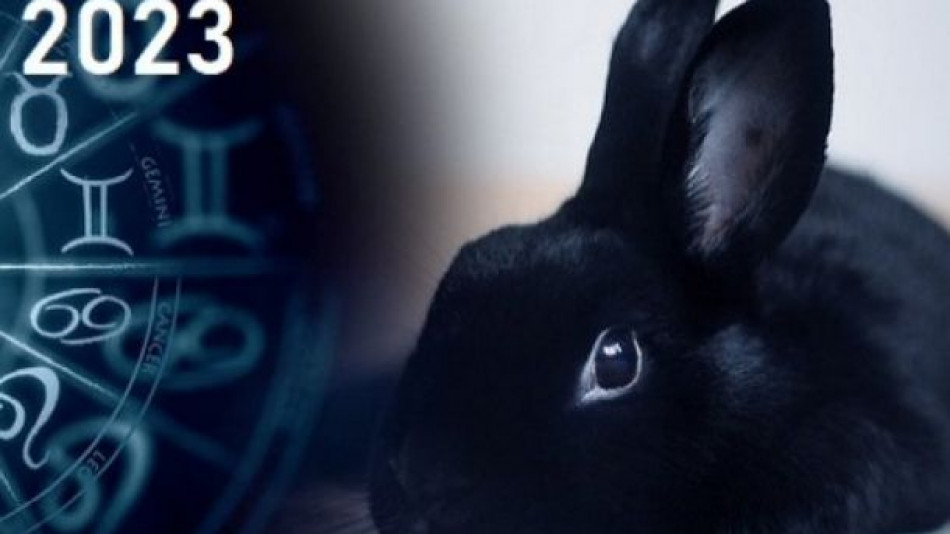 3 зодии ще се радват на невиждан успех в Годината на Черния воден заек