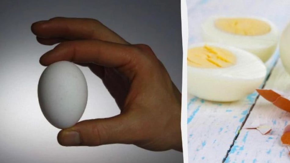 Ето как да приготвите перфектното твърдо сварено яйце