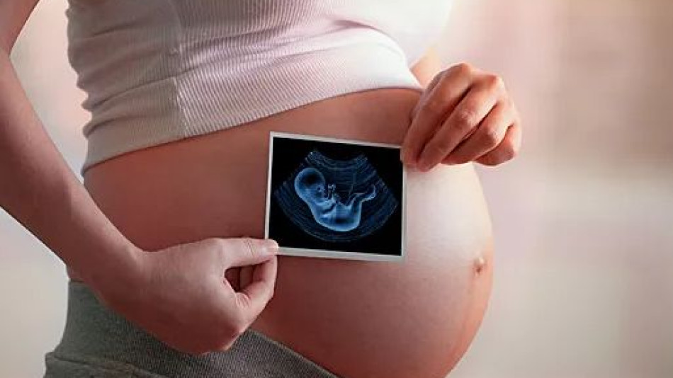 Протеиновата диета по време на бременност влияе върху външния вид на нероденото дете